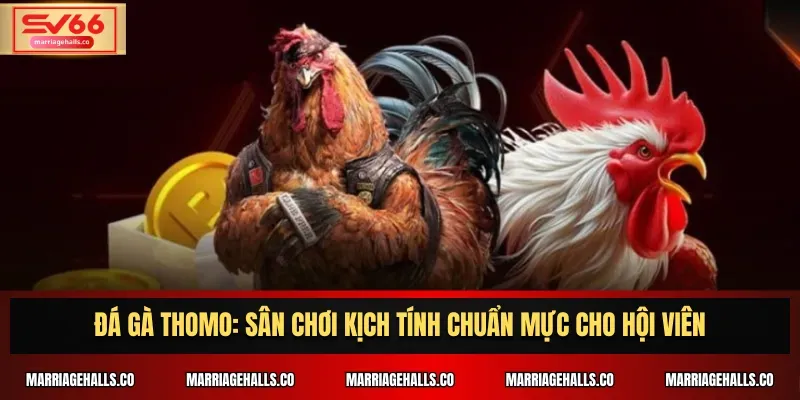 B52 cung cấp dịch vụ cá cược thể thao cho các sự kiện và giải đấu - B52