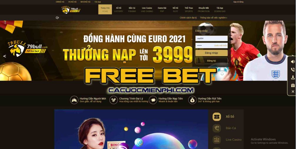 Câu hỏi thường gặp - Các vấn đề thường gặp liên quan đến trang web Cổng thông tin trò chơi Stake - Stake