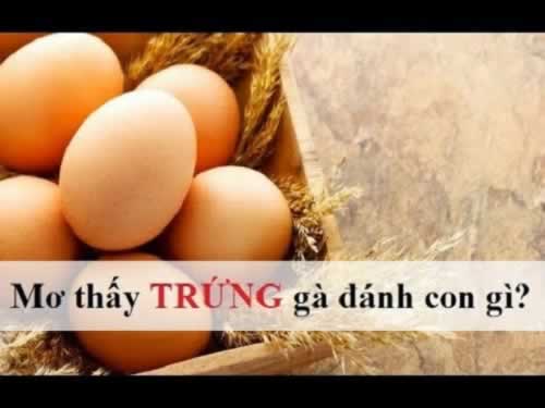 Công ty St666 Games sở hữu nguồn lực tài chính dồi dào - St666