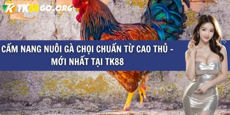 Tại sao nên chọn một nền tảng chơi game cấp độ Suncity để kiếm tiền bằng cách chơi game? - Suncity