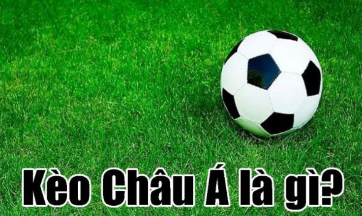 Cách tải ứng dụng K88 một cách dễ dàng và nhanh chóng - K88