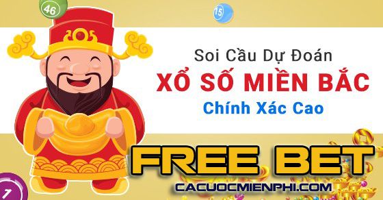 Hiện có những hình thức cá cược nào dành cho các trận đấu đá gà cấp độ B52? - B52