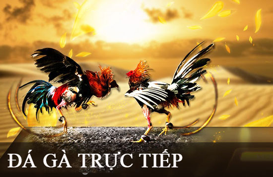 Tổng quan về các nền tảng chơi game trực tuyến đáng tin cậy được xếp hạng B52 - B52