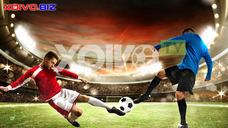 Hướng dẫn dành cho người chơi cá cược khi tham gia trang web chơi game trực tuyến Sun52 - Sun52
