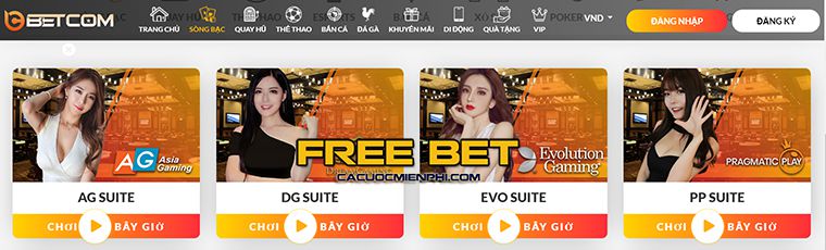 C168 là một trang web được đánh giá rất cao - C168