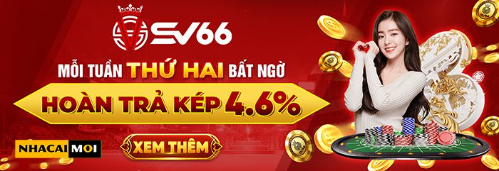 Mn88 cam kết cung cấp nhiều lựa chọn cá cược đa dạng - Mn88