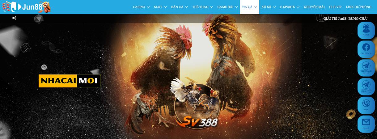 Các trò chơi slot trực tuyến được xếp hạng 58Win PG là những trò chơi phổ biến và được săn đón nhất - 58Win