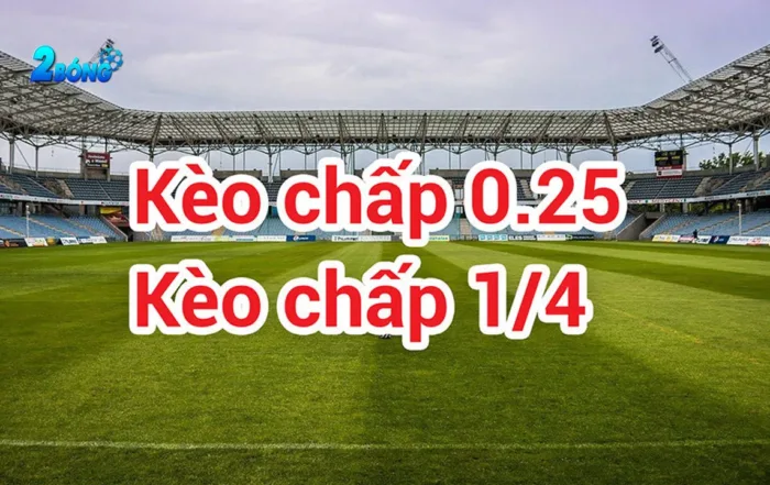 Bộ phận Dịch vụ Khách hàng của Vn777 cam kết cung cấp dịch vụ khách hàng xuất sắc - Vn777