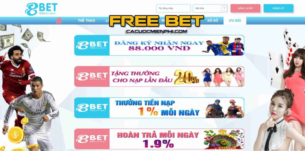 Tôi có thể tham gia cá cược trên nền tảng 789Win Baccarat như thế nào? - 789Win