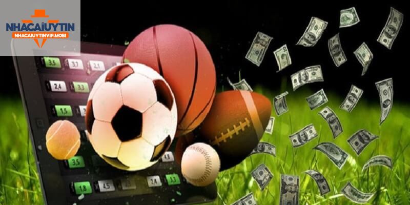 Các mặt hàng khuyến mãi Net88 - Net88