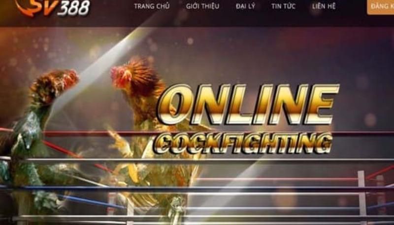 Làm thế nào để tăng cơ hội thắng khi chơi máy đánh bạc tại sòng bạc hạng B52? - B52