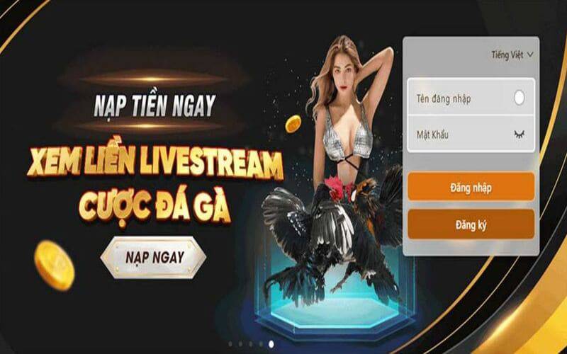 Thông tin chi tiết về quy trình ứng tuyển và tuyển dụng của Hb88 - Hb88