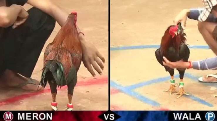 Chơi game cấp độ King88 có an toàn không? - King88