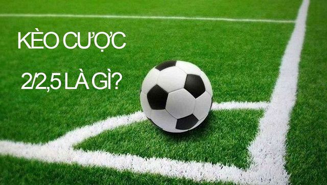Tôi có thể tham gia một trang web chơi game trực tuyến cấp Kv99 bằng cách nào? - Kv99