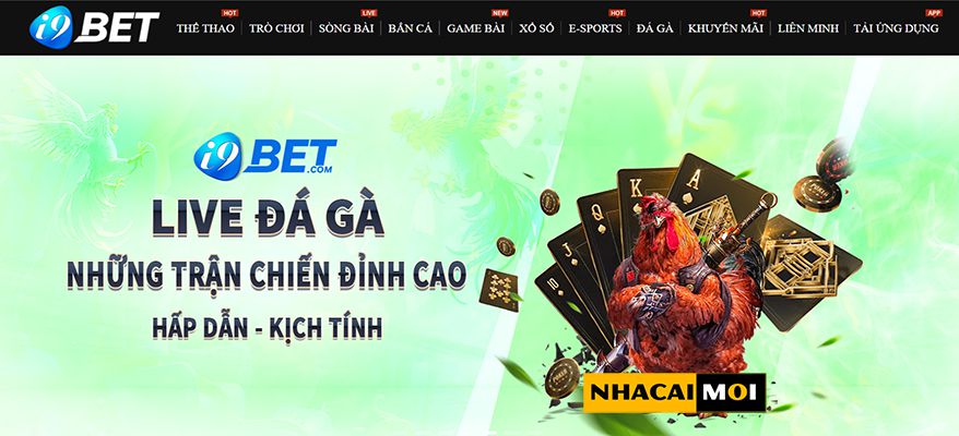 Đánh giá chất lượng dịch vụ và trải nghiệm của One88 - One88