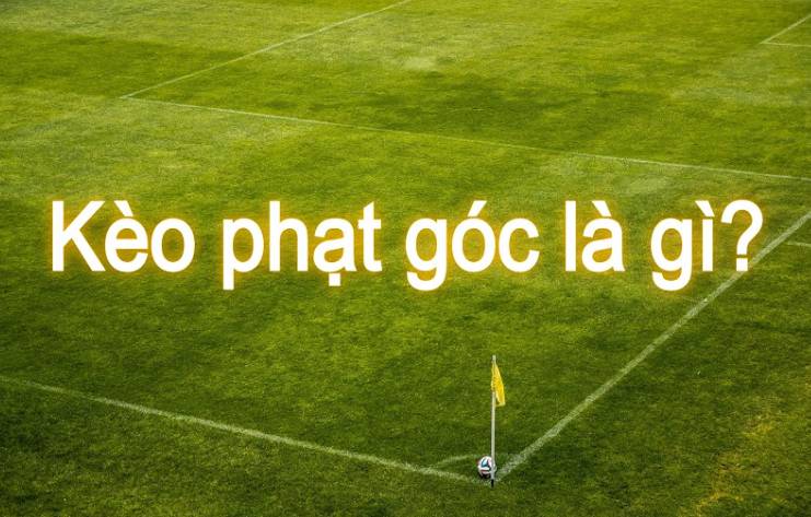 Phản hồi của người dùng về xổ số Win58 - Win58